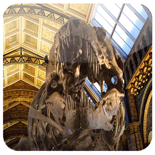 T-Rex Dinosaur in Great Hall in 3D